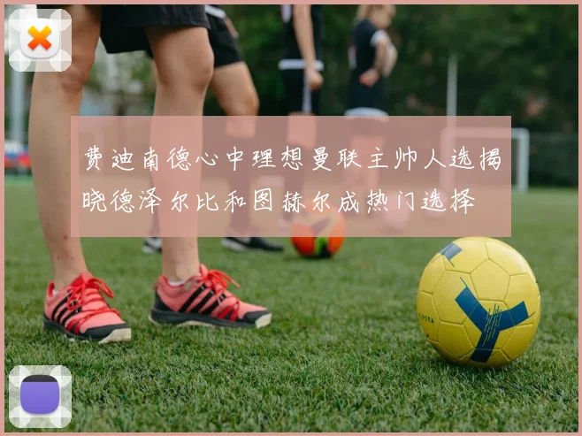 费迪南德心中理想曼联主帅人选揭晓德泽尔比和图赫尔成热门选择